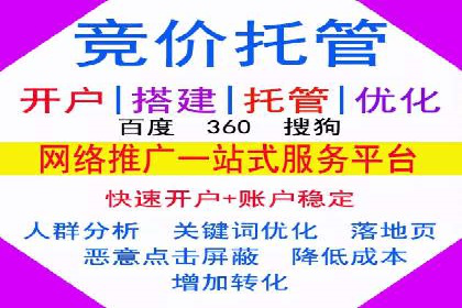 行业领先！专业SEM托管的成功实践案例